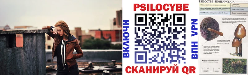 Галлюциногенные грибы Psilocybe  это как зайти  Новомичуринск  закладки  мега онион 